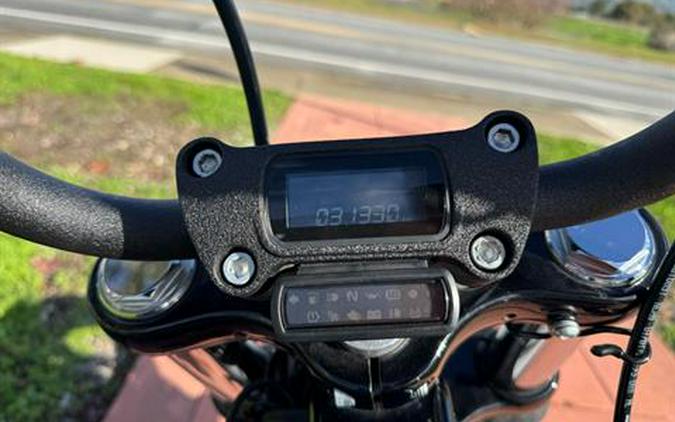 2024 Harley-Davidson Street Bob® 114