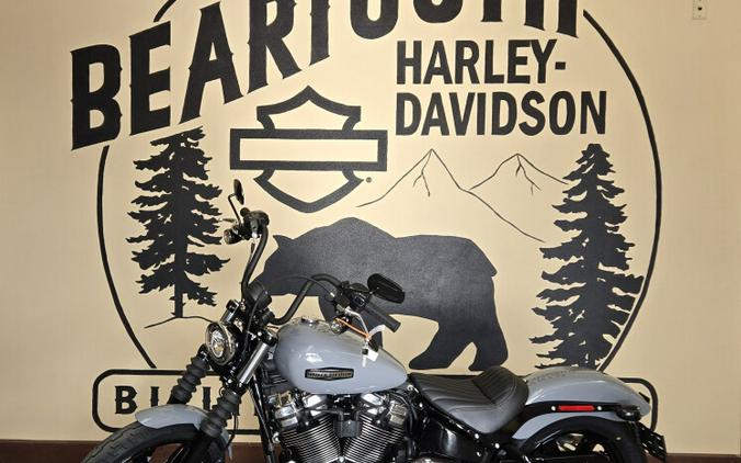 2026 Harley-Davidson® Street Bob® Dark Billiard Gray Chrome Cast Wheels