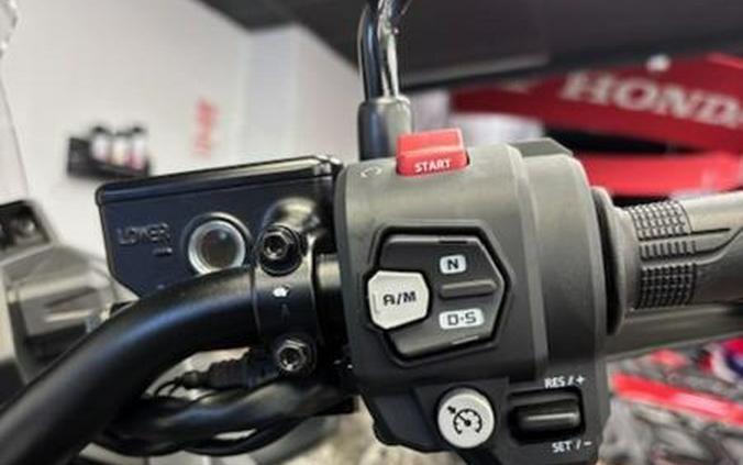 2025 Honda® Africa Twin DCT