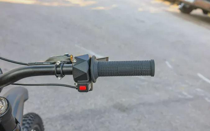 2025 79 BIKE FALCON PRO
