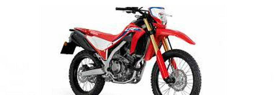 2024 HONDA CRF300LAR ABS