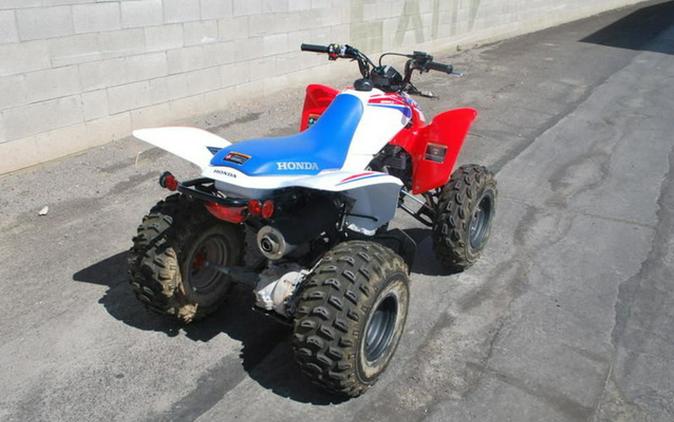 2026 Honda TRX 250X