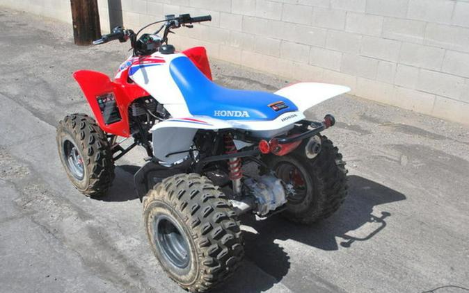 2026 Honda TRX 250X