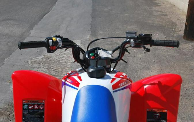 2026 Honda TRX 250X