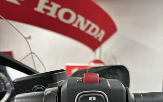 2025 Honda® Gold Wing 50th Anniversary