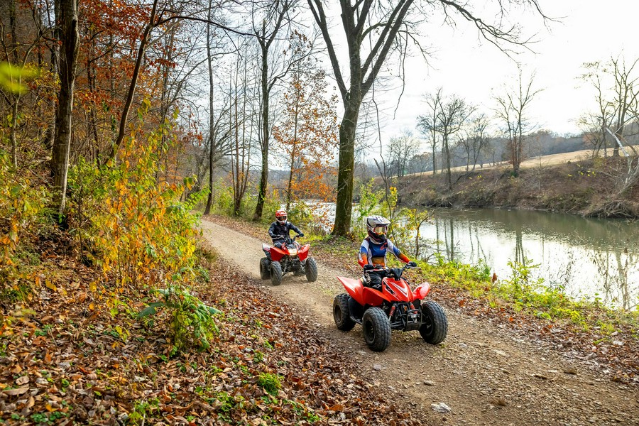 2026 Honda TRX® 90X