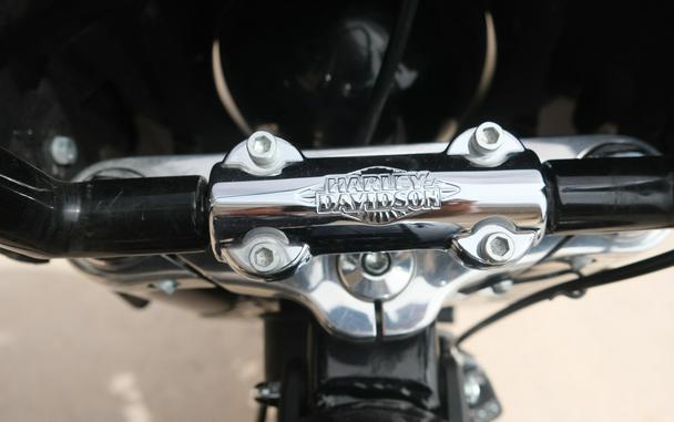 2021 HARLEY SOFTAIL SLIM