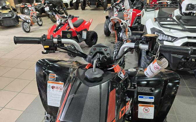 2026 CAN-AM DS 250