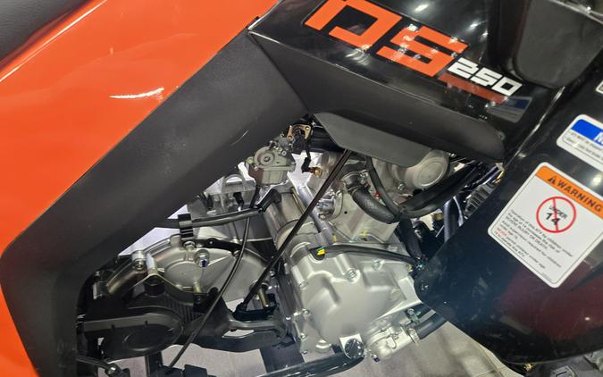 2026 CAN-AM DS 250