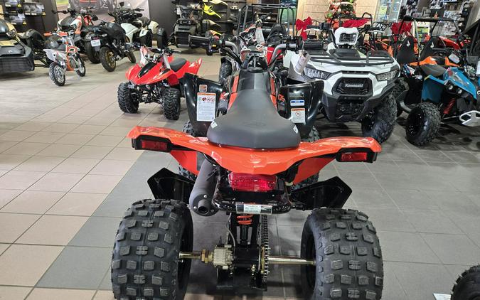 2026 CAN-AM DS 250