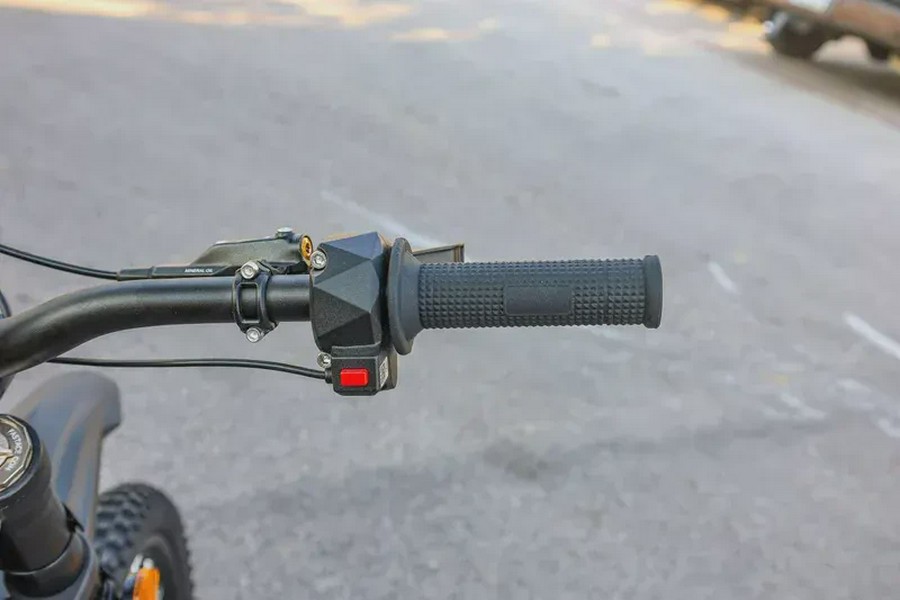 2025 79 BIKE FALCON PRO