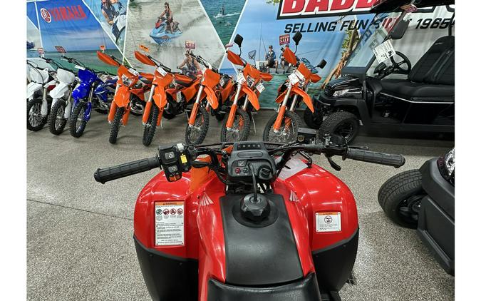 2006 Recon 250 ES - Honda