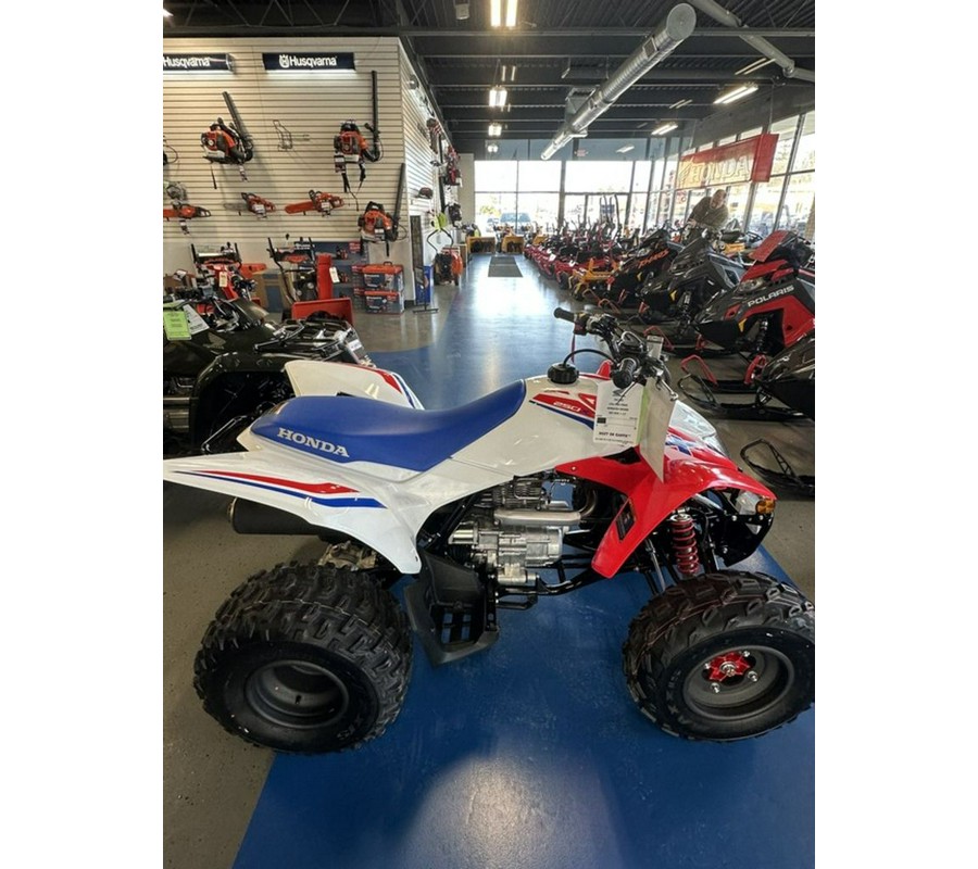 2026 Honda® TRX250X