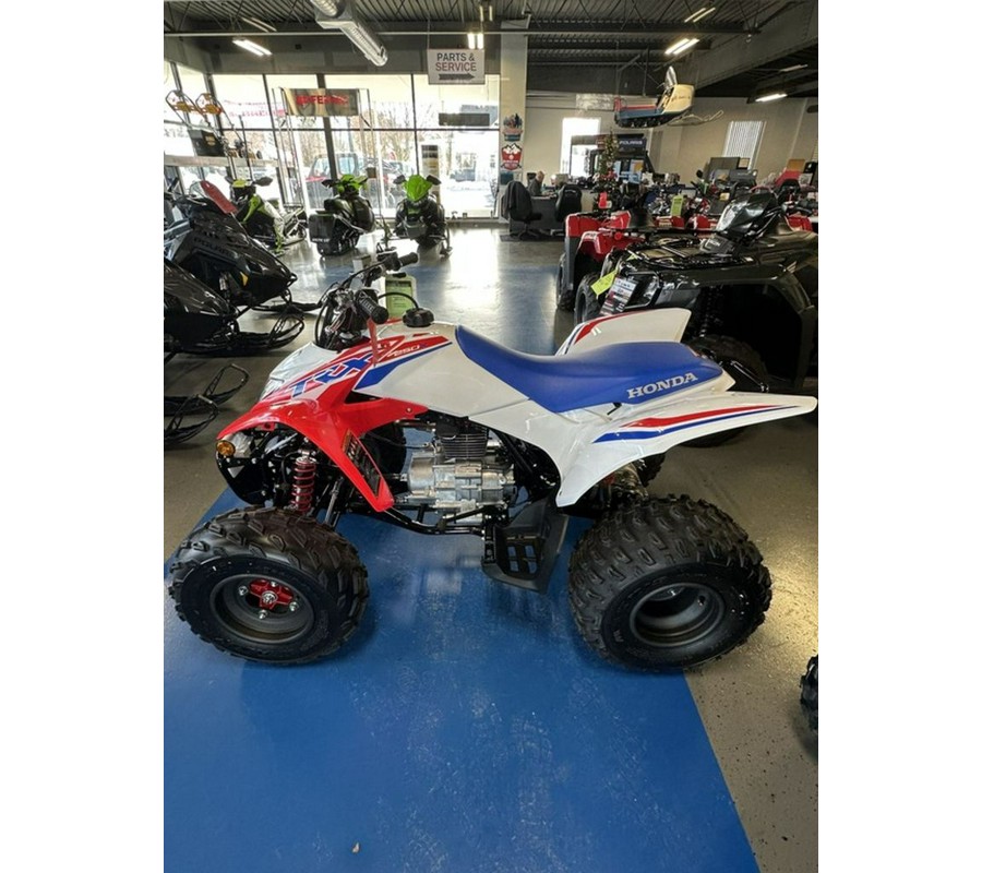2026 Honda® TRX250X
