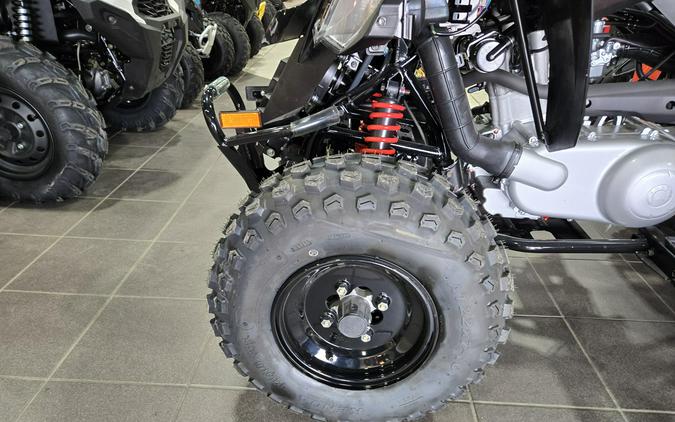2026 CAN-AM DS 250