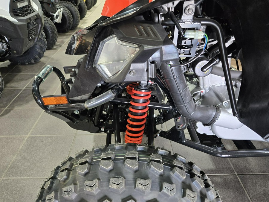 2026 CAN-AM DS 250
