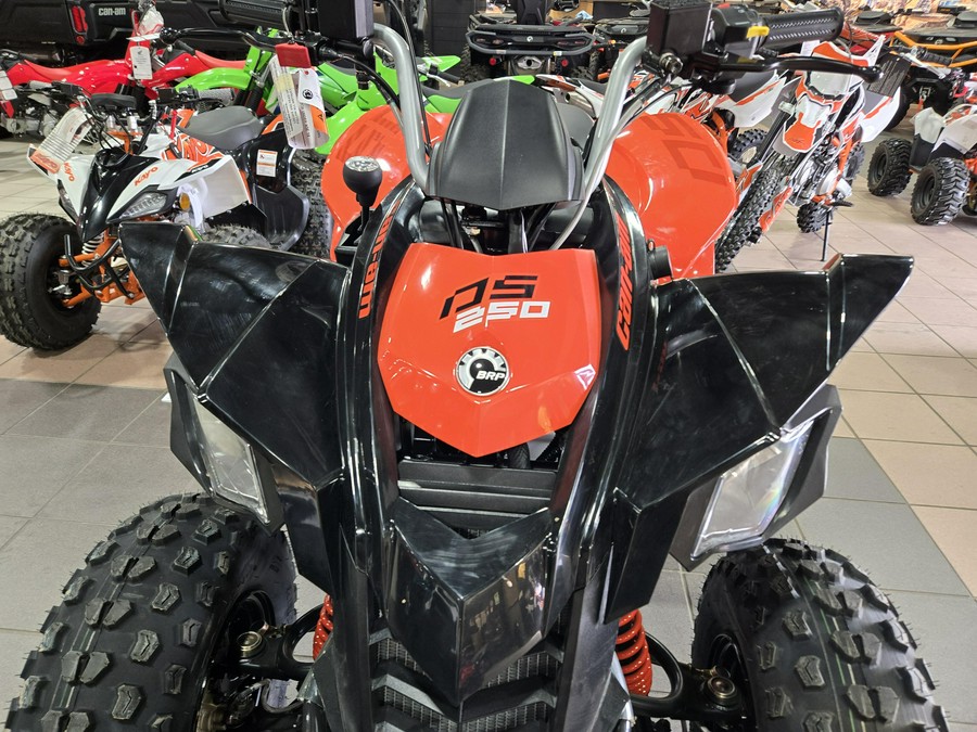 2026 CAN-AM DS 250