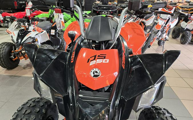 2026 CAN-AM DS 250