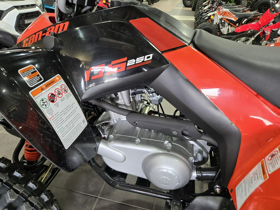 2026 CAN-AM DS 250