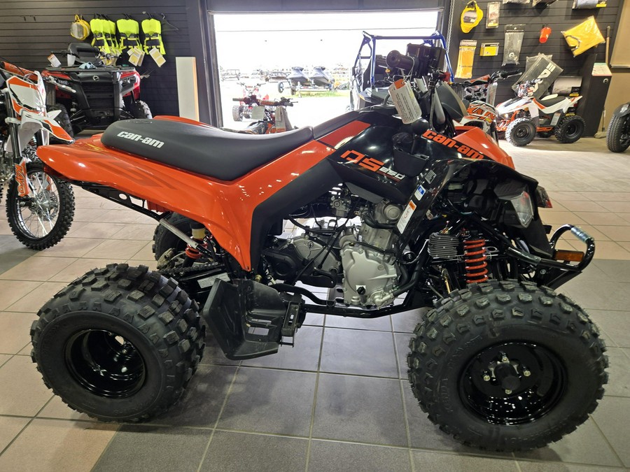2026 CAN-AM DS 250
