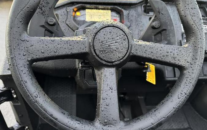 2025 Honda® Pioneer 1000-5