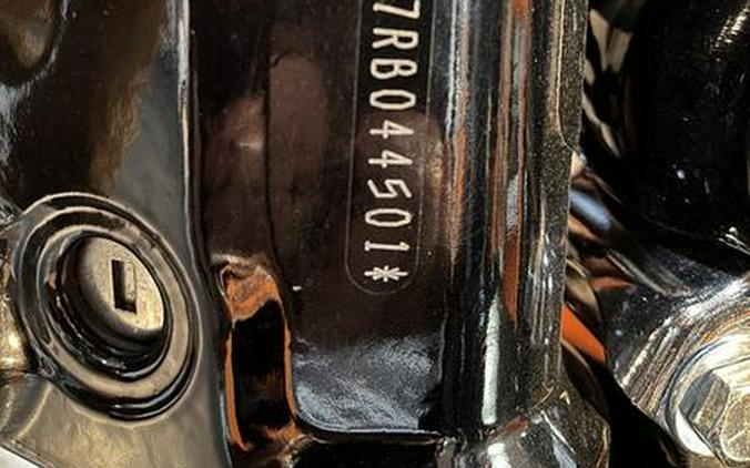 2024 Harley-Davidson® FXBBS - Street Bob® 114