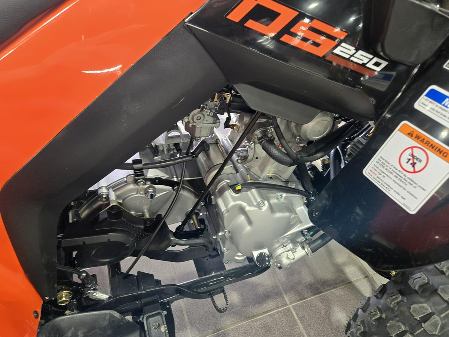 2026 CAN-AM DS 250