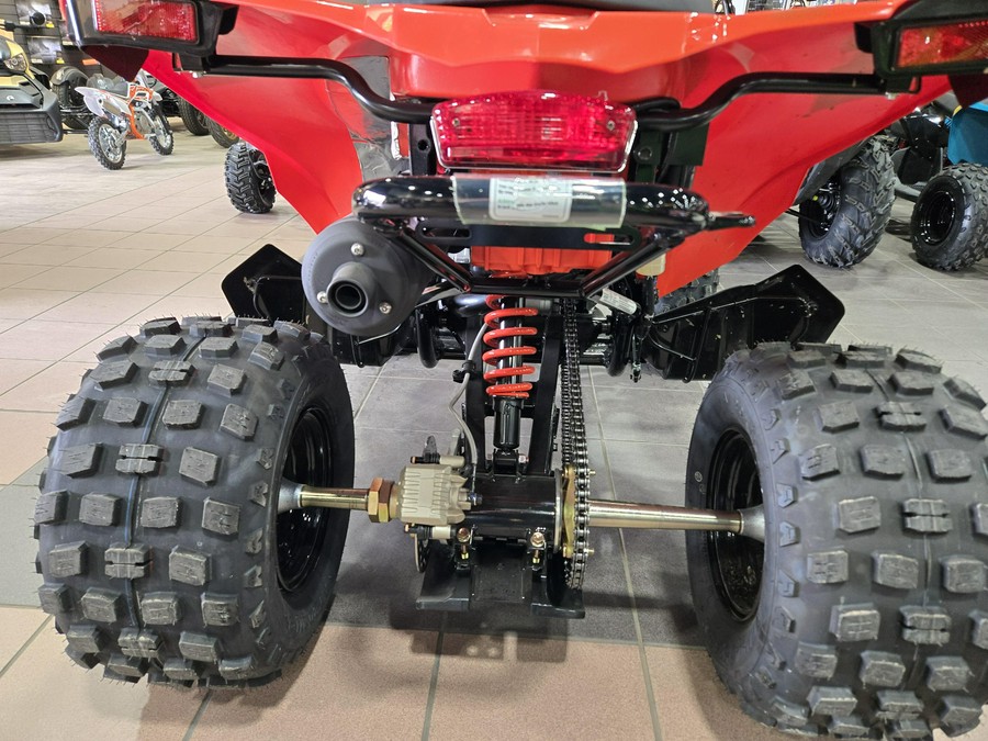 2026 CAN-AM DS 250