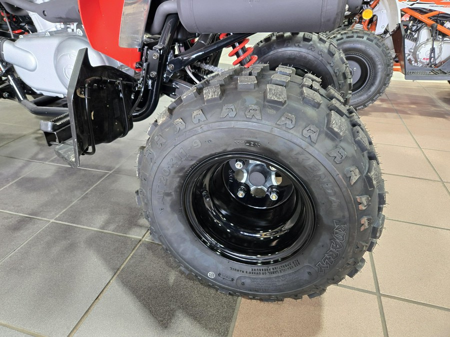 2026 CAN-AM DS 250