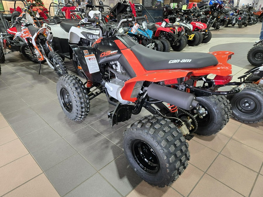 2026 CAN-AM DS 250