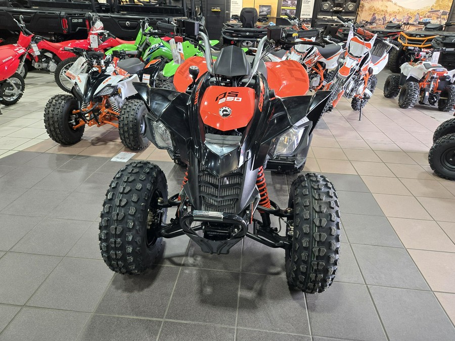 2026 CAN-AM DS 250