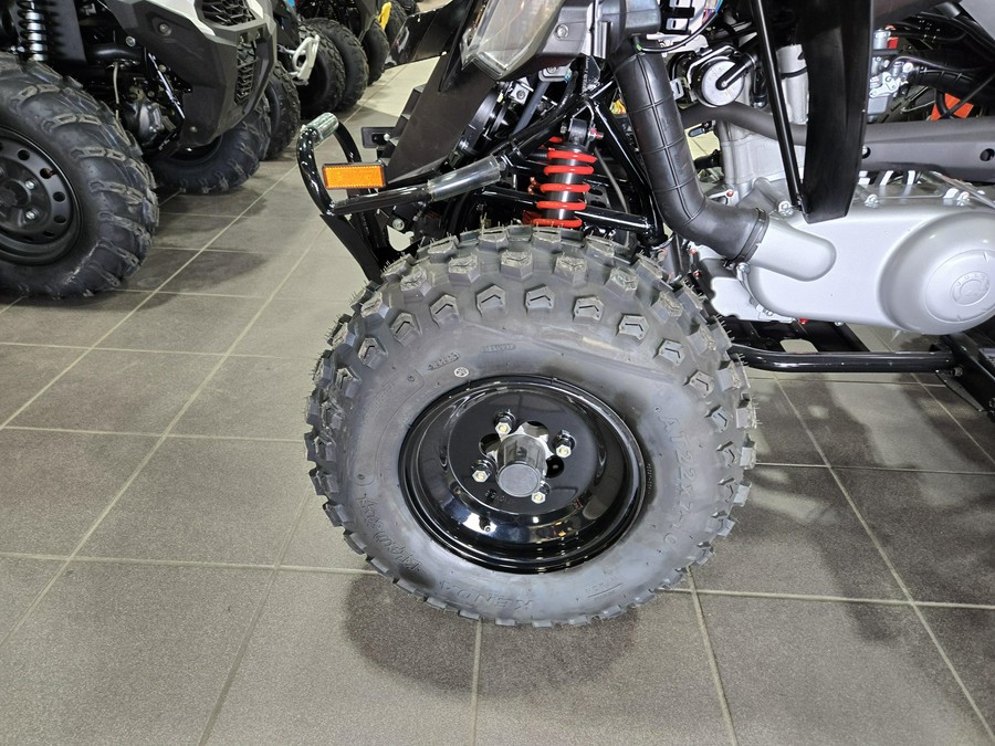 2026 CAN-AM DS 250