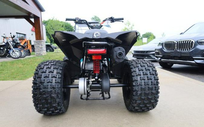 2026 Can-Am Renegade 110 EFI