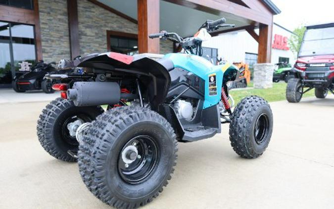 2026 Can-Am Renegade 110 EFI