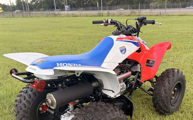 2026 Honda TRX® 250X