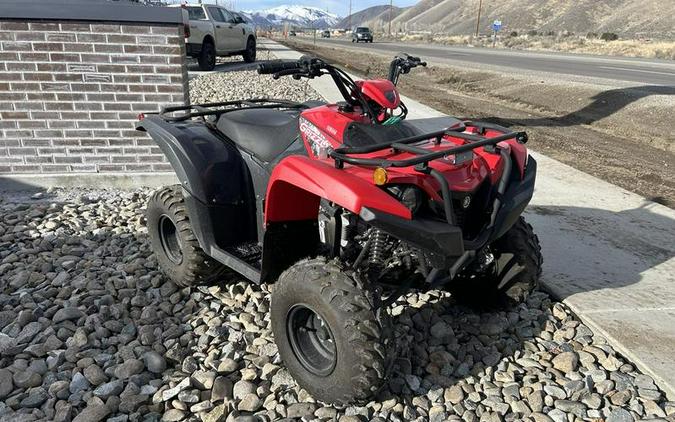 2025 Yamaha Grizzly 110