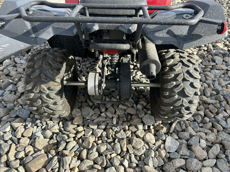 2025 Yamaha Grizzly 110