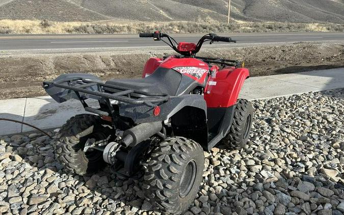 2025 Yamaha Grizzly 110
