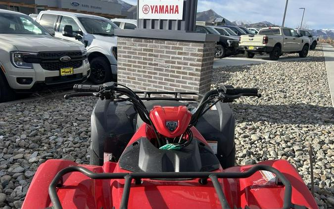 2025 Yamaha Grizzly 110