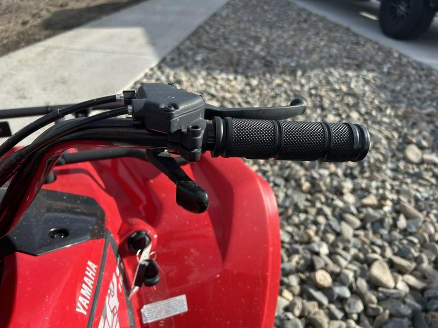 2025 Yamaha Grizzly 110