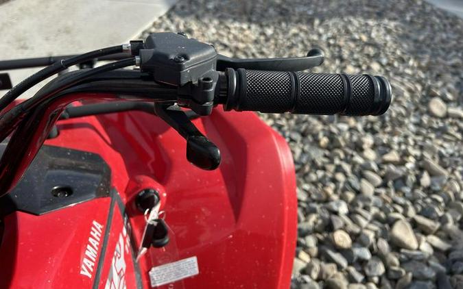 2025 Yamaha Grizzly 110