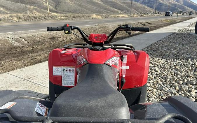 2025 Yamaha Grizzly 110