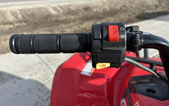 2025 Yamaha Grizzly 110