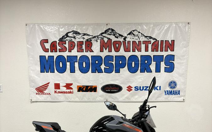 2023 CFMOTO 300NK - C0585