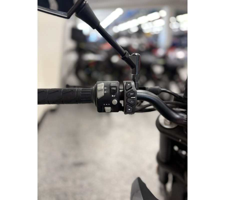 2023 CFMOTO 300NK - C0585