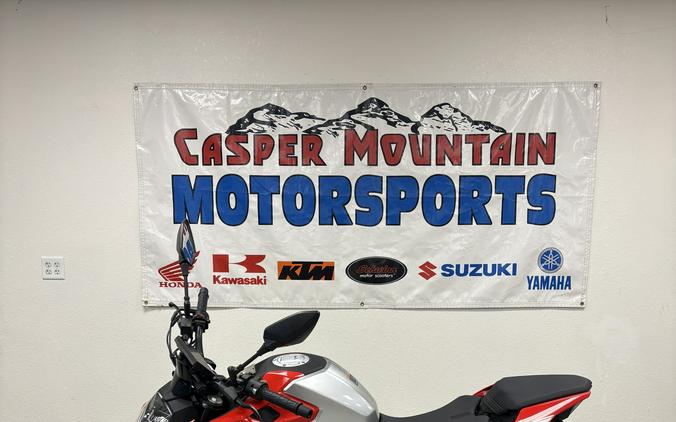 2024 CFMOTO 300NK - UC0749