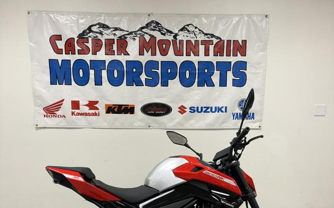 2024 CFMOTO 300NK - UC0749