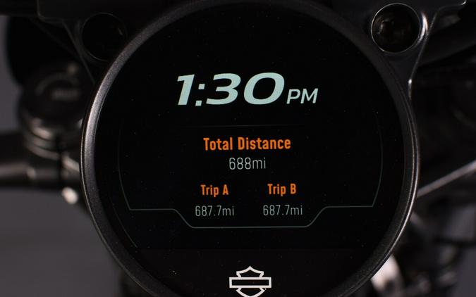 2025 Harley-Davidson Nightster Special