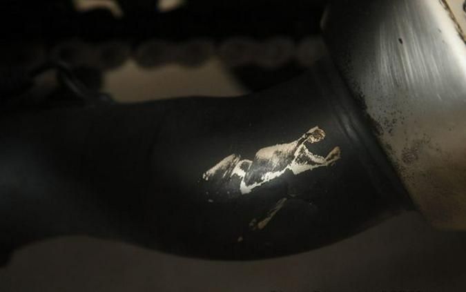 2019 Kawasaki Ninja 1000 ABS