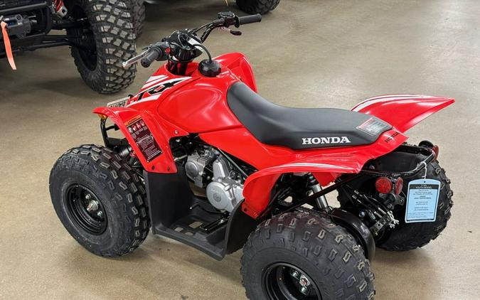 2026 Honda TRX90X